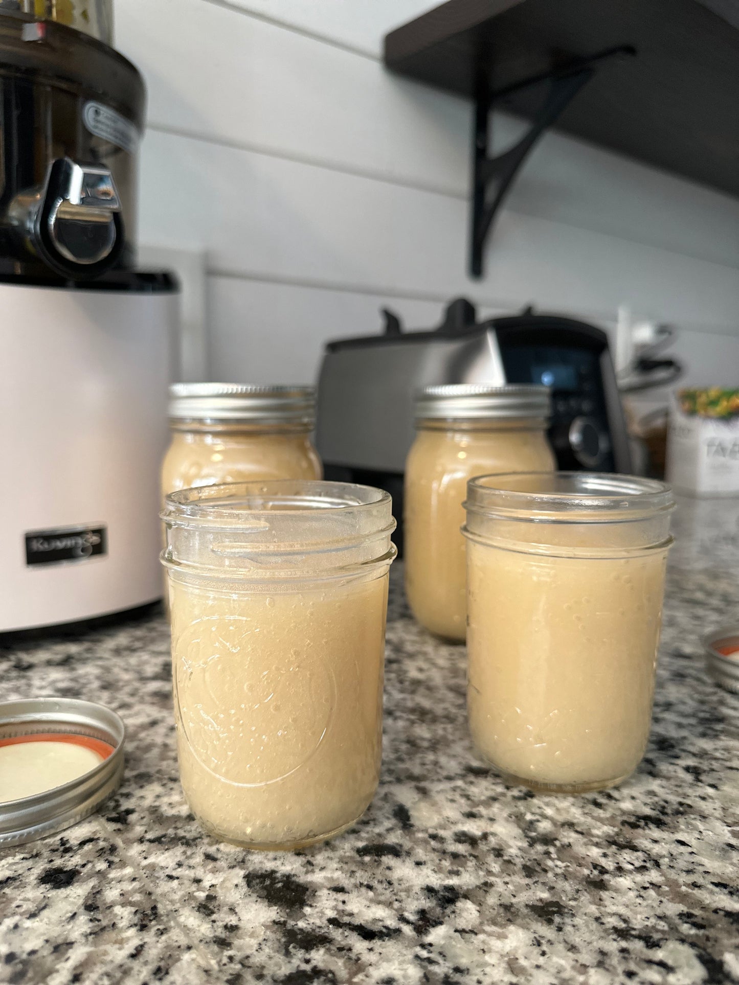 Premium Wildcrafted Sea Moss Gel (8oz)